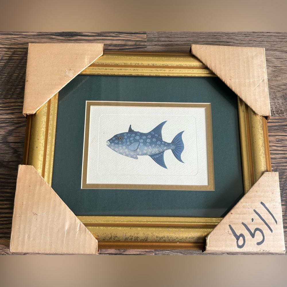 Not‎ forsale Tropical Fish Print On Matted Gold Framed Vintage Fish
